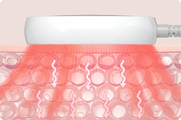 Photon Principle