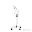 Pro Hot&Cold Ozone Vaporizer Facial Steamer Skin Rejuvenation Beauty Machine