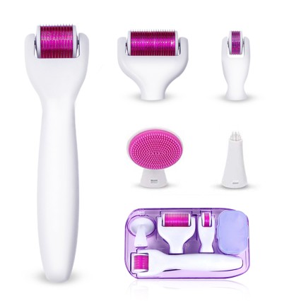 6in1 Microneedle Derma Roller Set 12/300/720/1200 Needles