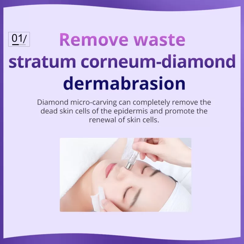 best microdermabrasion at home principle