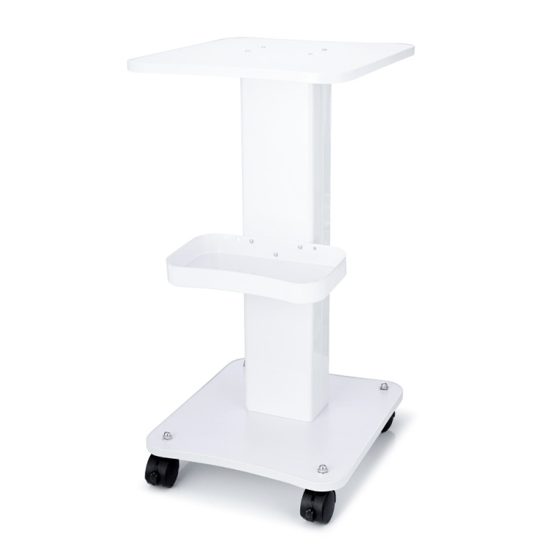 Rolling Trolley Cart Beauty Salon SPA Storage Equipment Machine Organizer Stand