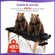 massage table portable