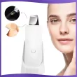 face cleansing scrubber