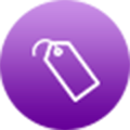 Logo Customization Icon