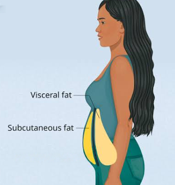 How to Lose Visceral Fat for Women: Science-Backed Strategies